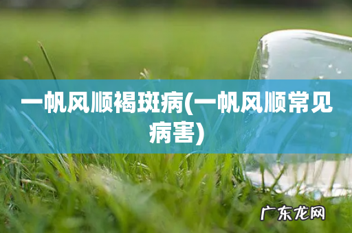 一帆风顺常见病害 一帆风顺褐斑病