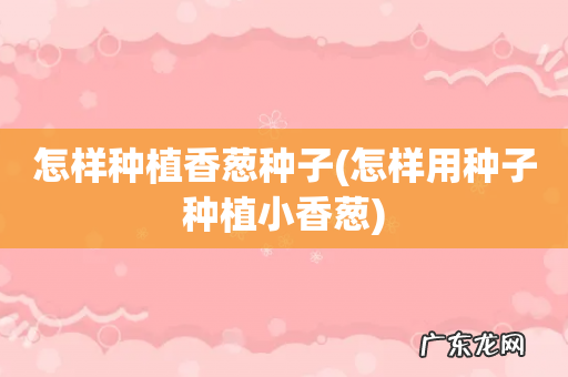 怎样用种子种植小香葱 怎样种植香葱种子