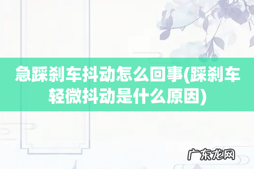 踩刹车轻微抖动是什么原因 急踩刹车抖动怎么回事