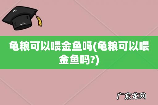 龟粮可以喂金鱼吗? 龟粮可以喂金鱼吗