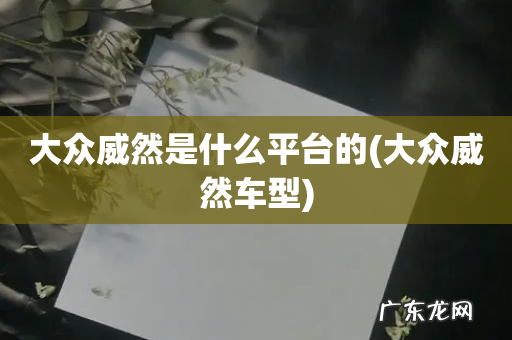 大众威然车型 大众威然是什么平台的