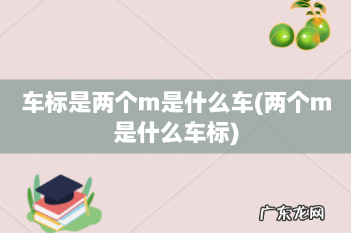 两个m是什么车标 车标是两个m是什么车