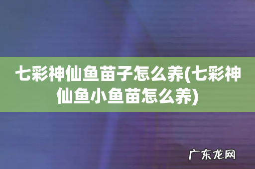 七彩神仙鱼小鱼苗怎么养 七彩神仙鱼苗子怎么养