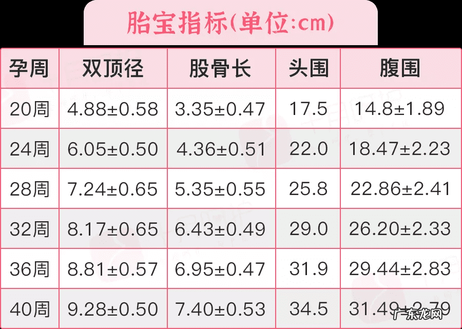 胎位ROA是什么位置 胎位roa是什么意思