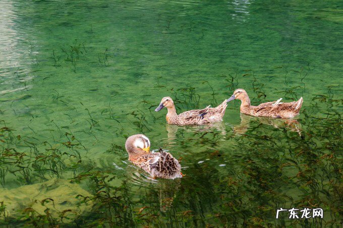 广西风水宝地大全 广西百色靖西风水宝地