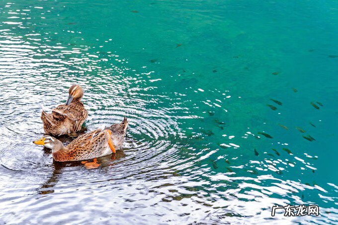广西风水宝地大全 广西百色靖西风水宝地