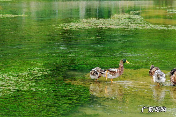 广西风水宝地大全 广西百色靖西风水宝地