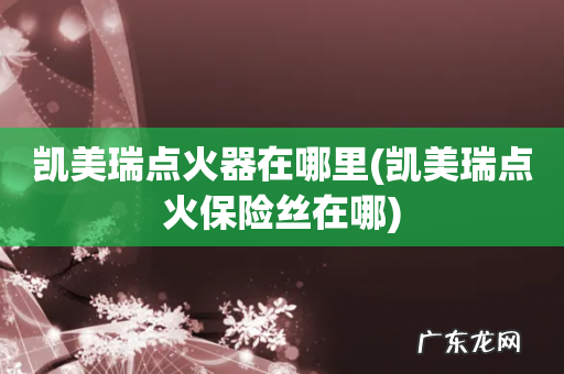 凯美瑞点火保险丝在哪 凯美瑞点火器在哪里