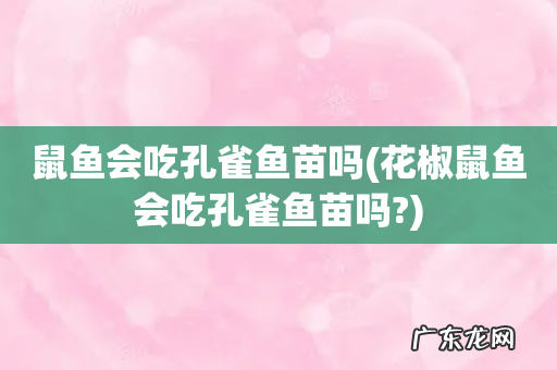 花椒鼠鱼会吃孔雀鱼苗吗? 鼠鱼会吃孔雀鱼苗吗