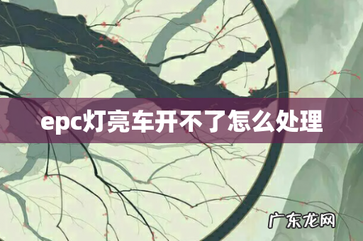 epc灯亮车开不了怎么处理