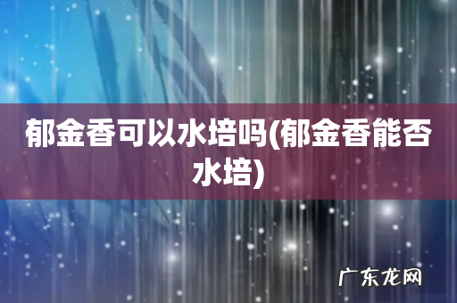 郁金香能否水培 郁金香可以水培吗