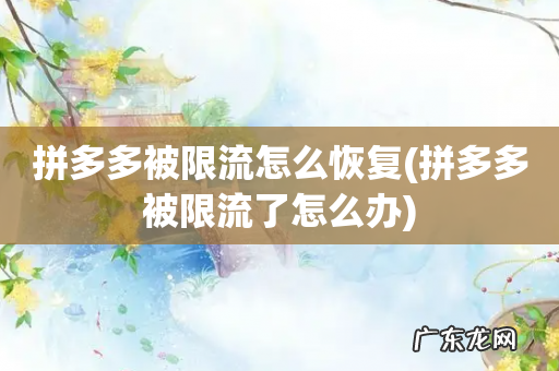 拼多多被限流了怎么办 拼多多被限流怎么恢复
