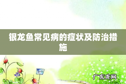 银龙鱼常见病的症状及防治措施