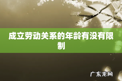 成立劳动关系的年龄有没有限制