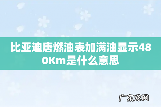比亚迪唐燃油表加满油显示480Km是什么意思