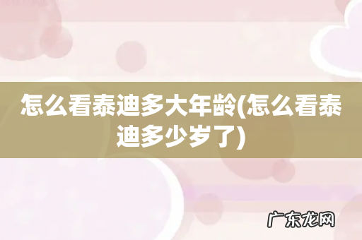 怎么看泰迪多少岁了 怎么看泰迪多大年龄