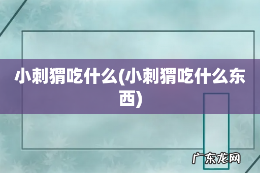 小刺猬吃什么东西 小刺猬吃什么