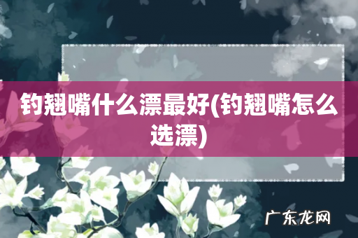 钓翘嘴怎么选漂 钓翘嘴什么漂最好