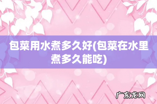 包菜在水里煮多久能吃 包菜用水煮多久好