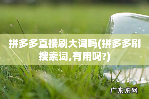 拼多多刷搜索词,有用吗? 拼多多直接刷大词吗