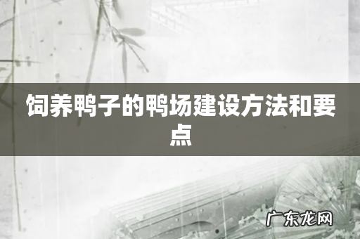 饲养鸭子的鸭场建设方法和要点
