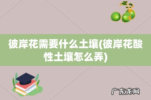 彼岸花酸性土壤怎么弄 彼岸花需要什么土壤