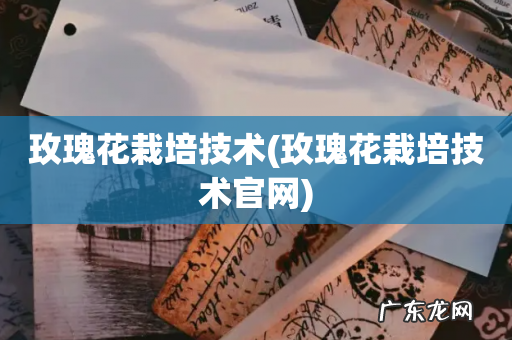 玫瑰花栽培技术官网 玫瑰花栽培技术