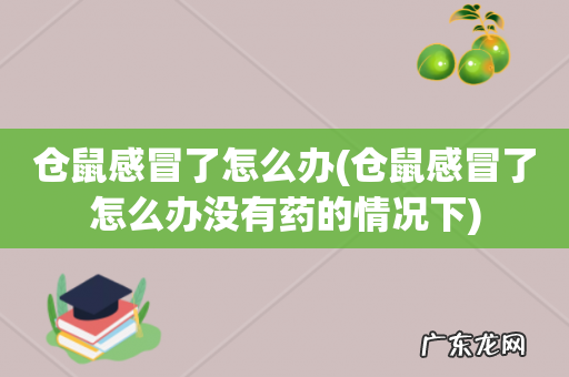 仓鼠感冒了怎么办没有药的情况下 仓鼠感冒了怎么办