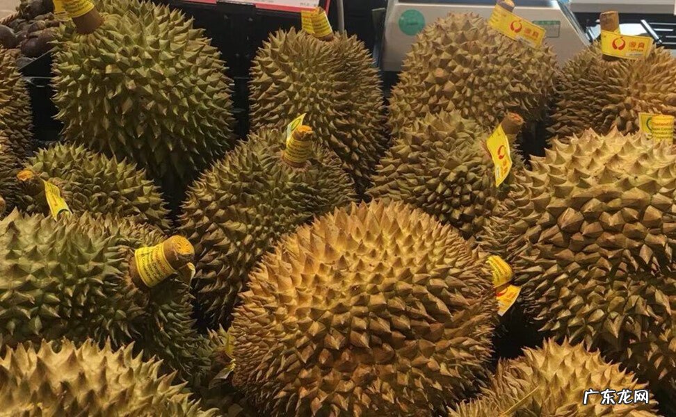 什么水果属于碱性的 什么水果属碱性