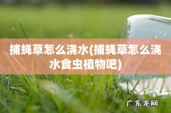 捕蝇草怎么浇水食虫植物吧 捕蝇草怎么浇水