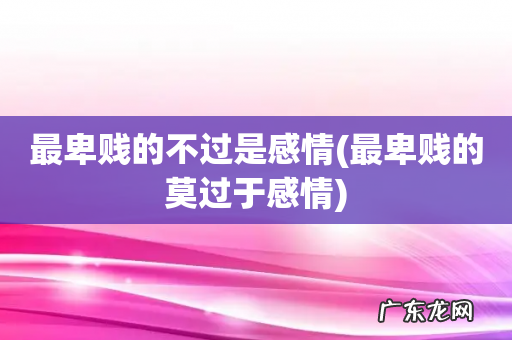 最卑贱的莫过于感情 最卑贱的不过是感情