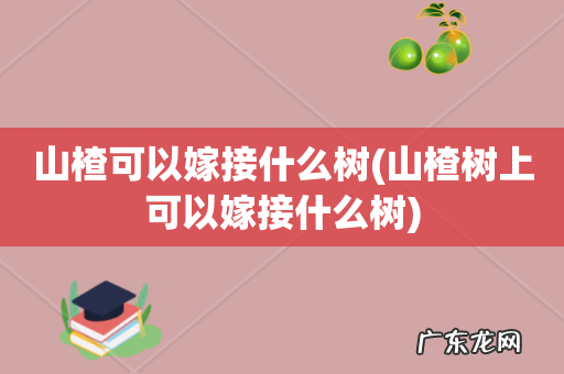 山楂树上可以嫁接什么树 山楂可以嫁接什么树