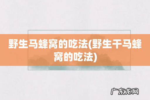 野生干马蜂窝的吃法 野生马蜂窝的吃法