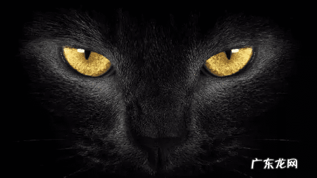 风水物品 塔城风水物品