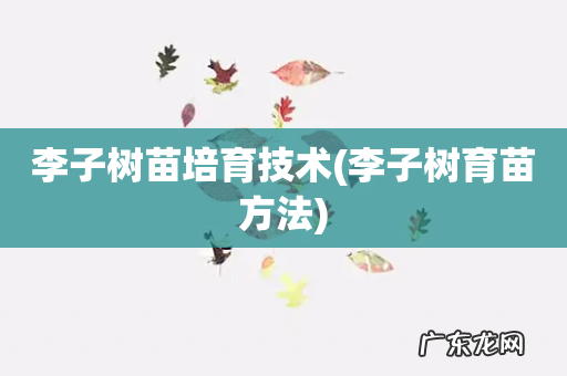 李子树育苗方法 李子树苗培育技术