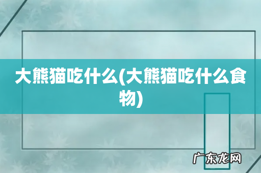 大熊猫吃什么食物 大熊猫吃什么