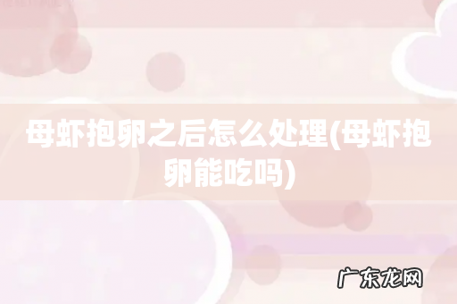 母虾抱卵能吃吗 母虾抱卵之后怎么处理