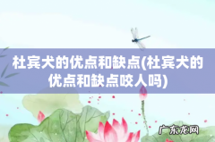 杜宾犬的优点和缺点咬人吗 杜宾犬的优点和缺点