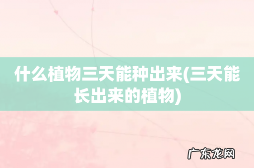 三天能长出来的植物 什么植物三天能种出来