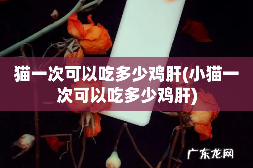 小猫一次可以吃多少鸡肝 猫一次可以吃多少鸡肝