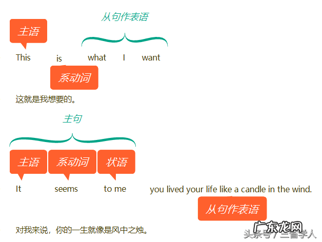 表语举例 表语英语