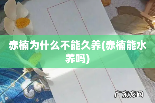 赤楠能水养吗 赤楠为什么不能久养