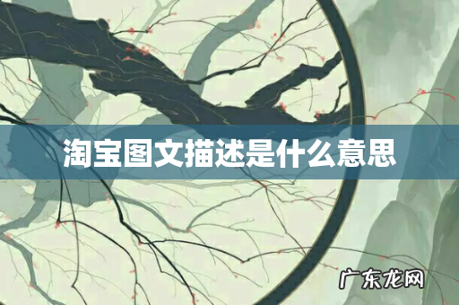 淘宝图文描述是什么意思