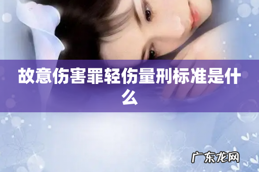 故意伤害罪轻伤量刑标准是什么