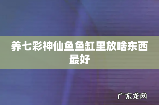 养七彩神仙鱼鱼缸里放啥东西最好