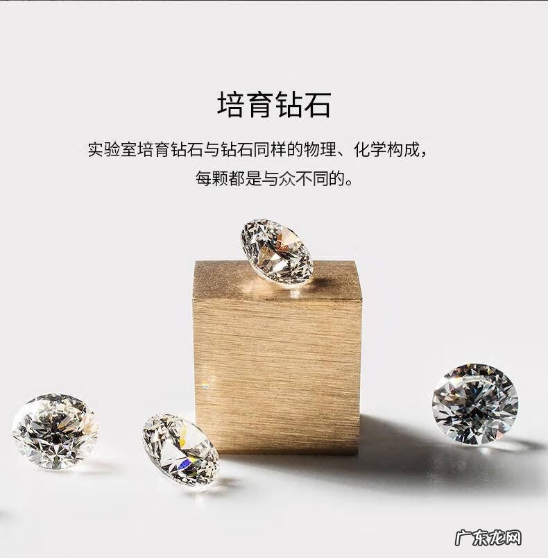 植物大战僵尸2钻石修改教程 植物大战僵尸2修改钻石2021