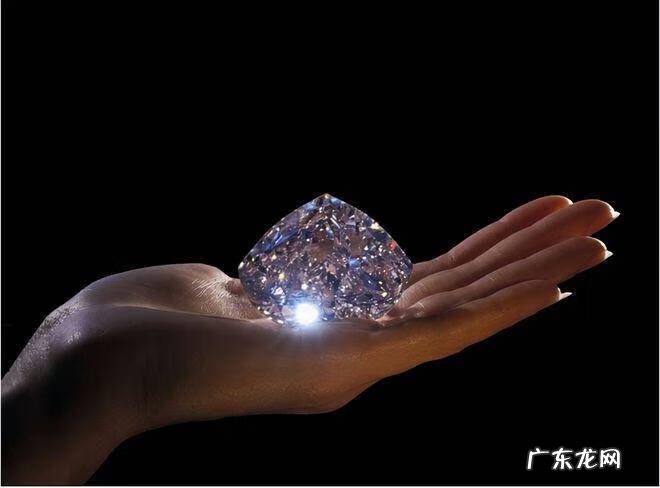 植物大战僵尸2钻石修改教程 植物大战僵尸2修改钻石2021