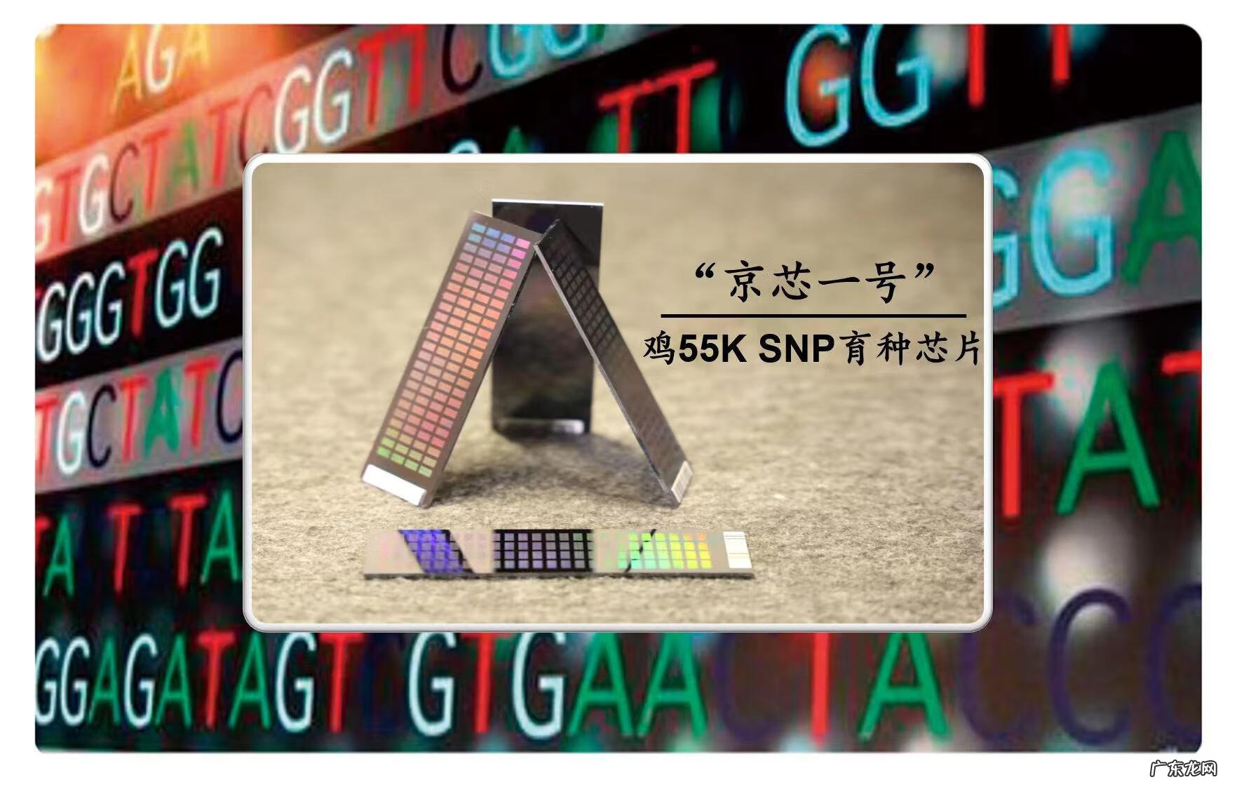 洛奇4 洛克洛克3=多少