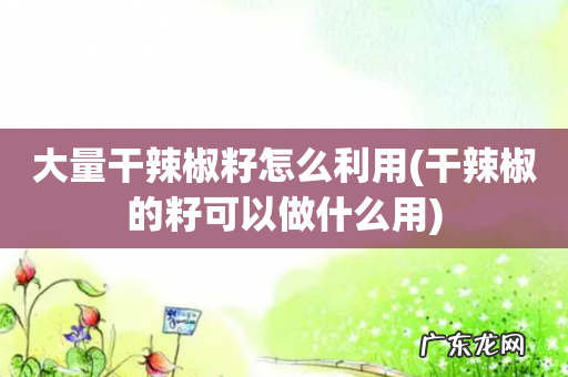 干辣椒的籽可以做什么用 大量干辣椒籽怎么利用