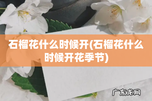 石榴花什么时候开花季节 石榴花什么时候开